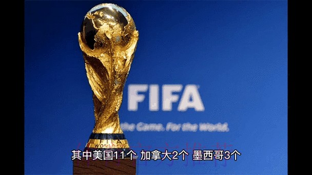 实时分析与预测：世界杯竞猜动态追踪